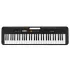 CASIO CT-S100BK Standard Portable Keyboard With 9.5V Adaptor